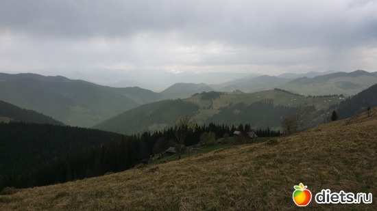 6 ����: ����