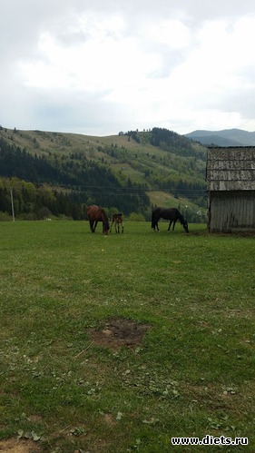 7 ����: ����