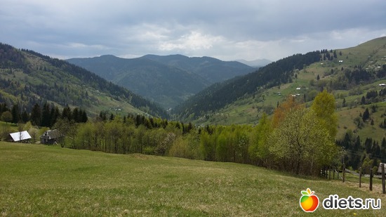 8 ����: ����