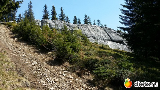 10 ����: ����