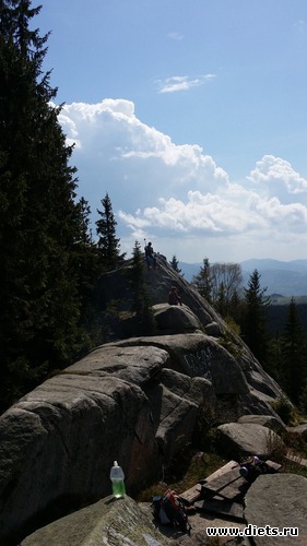 11 ����: ����