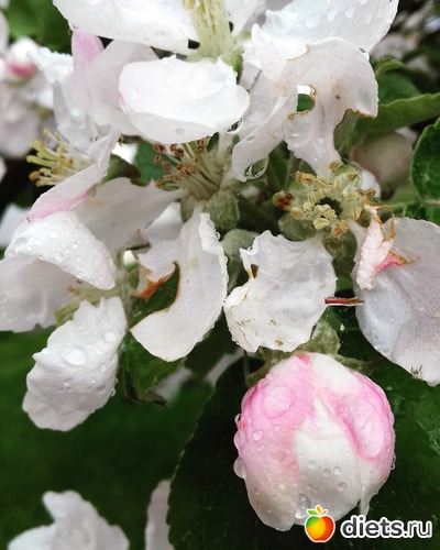 12 ����: ����