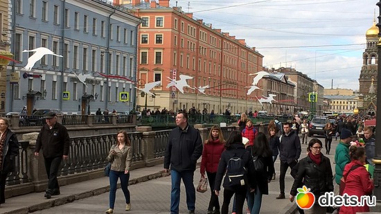 46 ����: ���� ������!