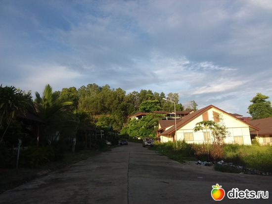 33 ����: ������, ������� � ����.