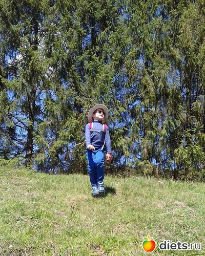 15 ����: ����