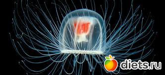 ����������� ������