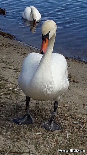 49 фото: хобби!!!и просто красота!!!