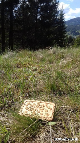 38 ����: ����