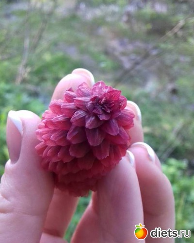 42 ����: ����