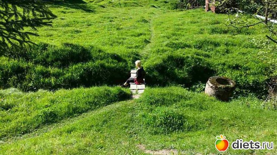 44 ����: ����