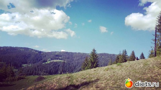 45 ����: ����