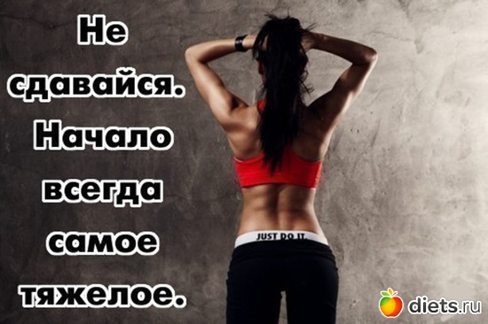 3 ����: ���������