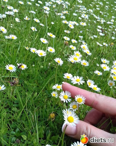 35 ����: ����