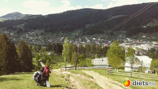 37 ����: ����