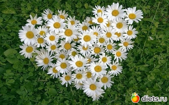 1 ����: ����