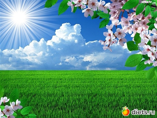 5 ����: ����