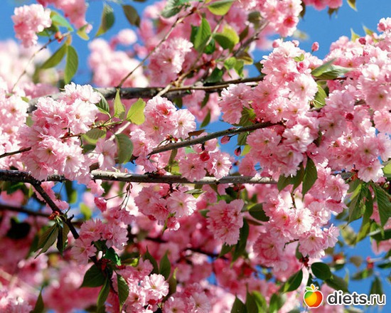 6 ����: ����