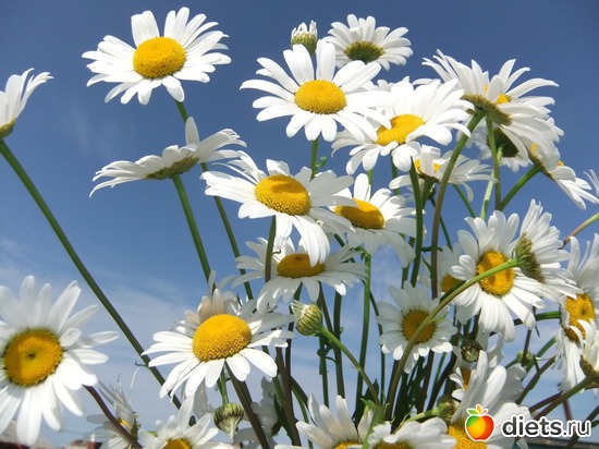 7 ����: ����