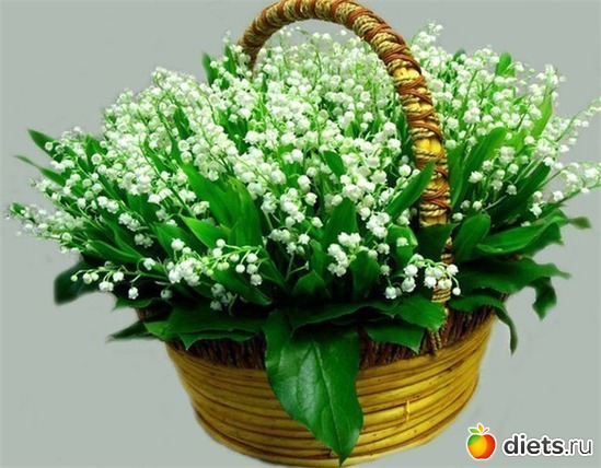 8 ����: ����