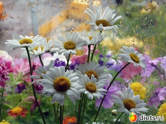 10 ����: ����