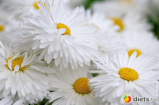 11 ����: ����