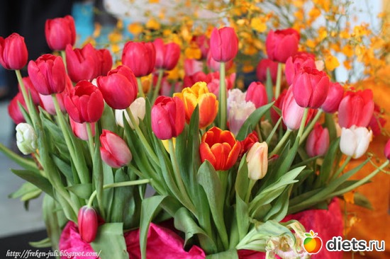 12 ����: ����