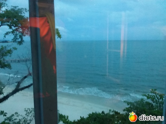 28 ����: ����������� �����