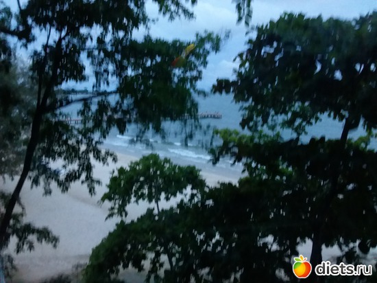 29 ����: ����������� �����