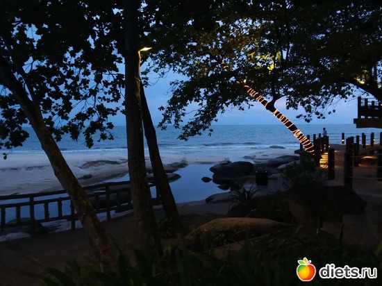 30 ����: ����������� �����