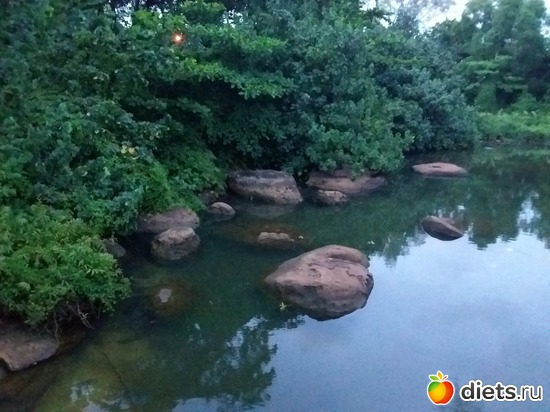 31 ����: ����������� �����