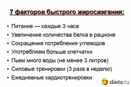 13 фото: питание
