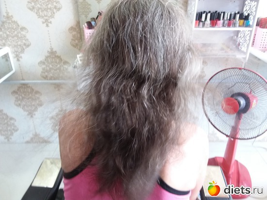 3 ����: ����