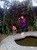 ����� - ����� ����