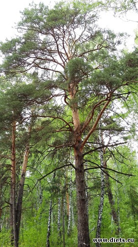 57 ����: ��������...