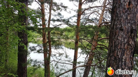 59 ����: ��������...