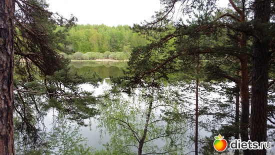 60 ����: ��������...