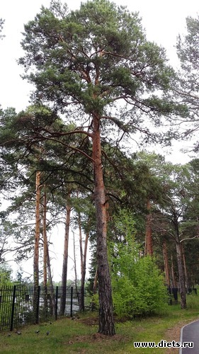 64 ����: ��������...