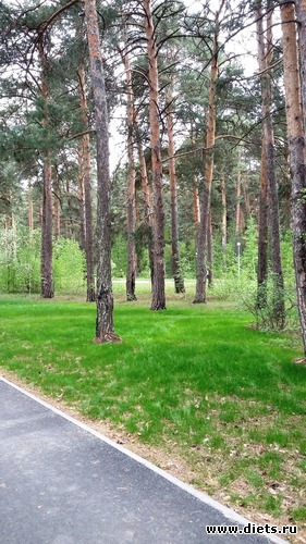 65 ����: ��������...