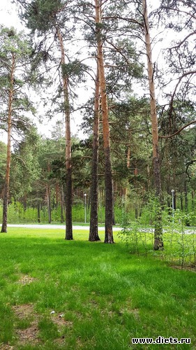 66 ����: ��������...