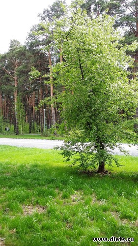 67 ����: ��������...