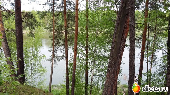 68 ����: ��������...