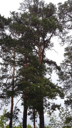 70 ����: ��������...