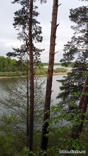 71 ����: ��������...