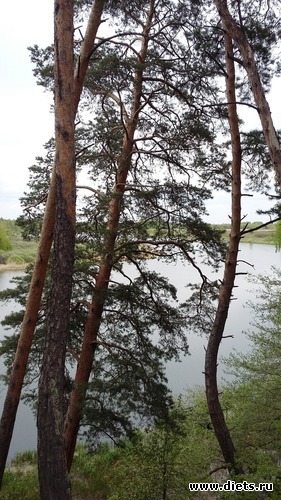 72 ����: ��������...