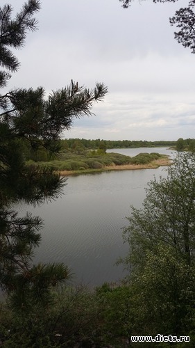 73 ����: ��������...