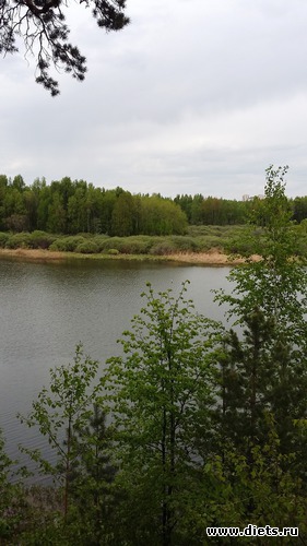 74 ����: ��������...