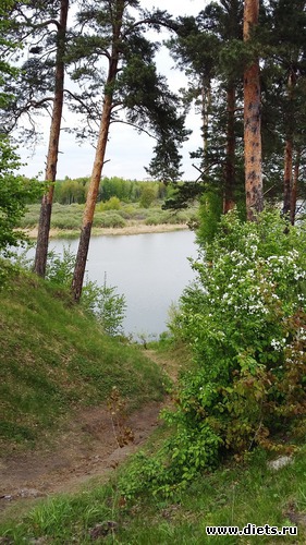 77 ����: ��������...