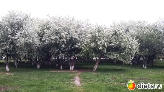 82 ����: ��������...