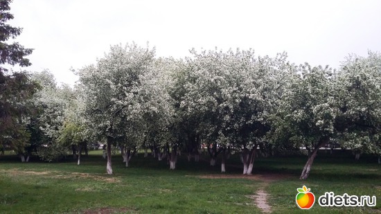 83 ����: ��������...