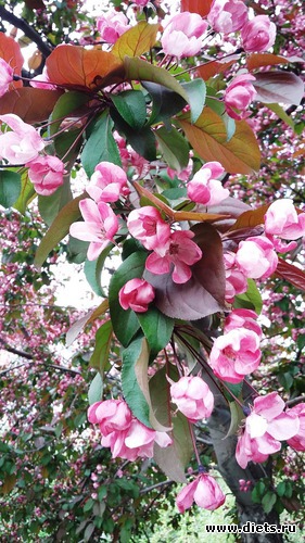 84 ����: ��������...